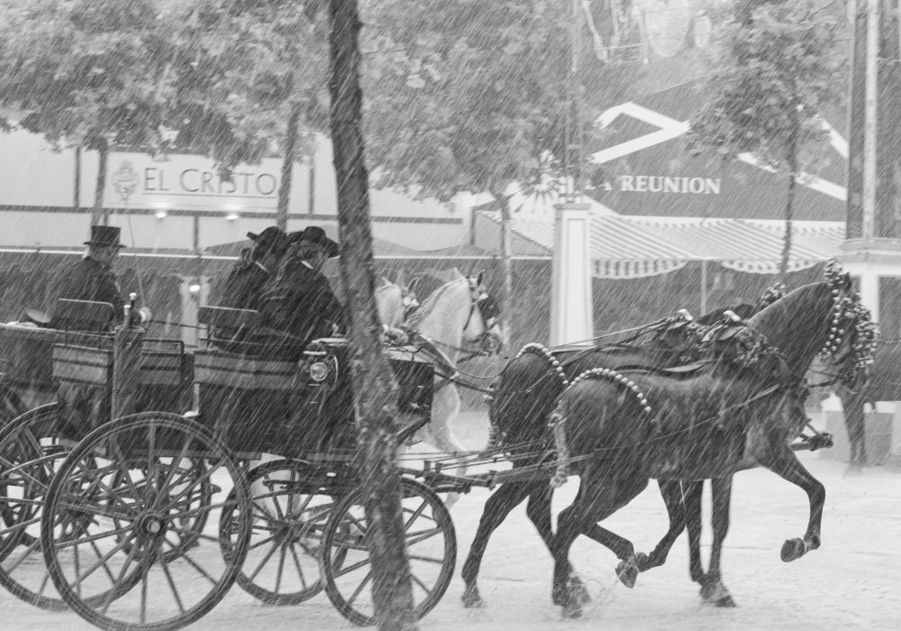 Feria de Jerez 2025